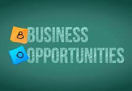 Business opportunity identification skills