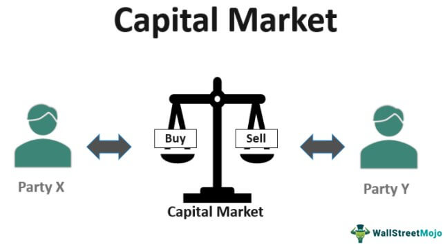 Capital Market & Portfolio management