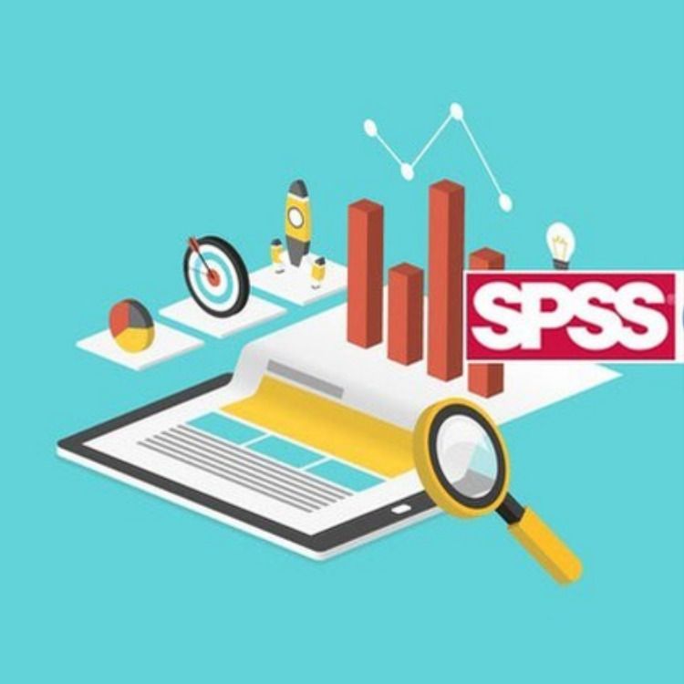 Statistical Package for the Social Sciences (SPSS)
