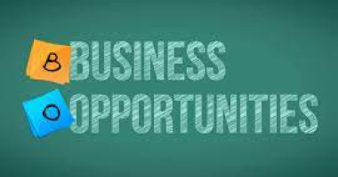 Business opportunity identification skills