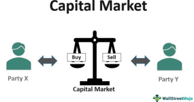 Capital Market & Portfolio management