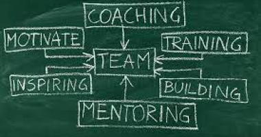 Team Building and Coaching